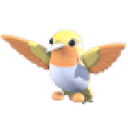 Golden Hummingbird