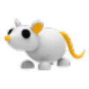 Golden Rat