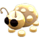 Golden Ladybug