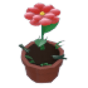 Growing Flower Hat