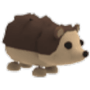 Hedgehog