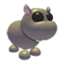 Hippo