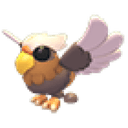 Hippogriff