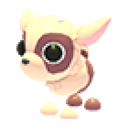 Kid Goat