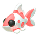 Koi Carp
