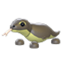 Komodo Dragon