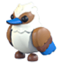 Kookaburra