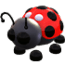 Ladybug