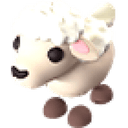 Lamb