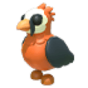Lammergeier