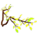 Leaf Wings