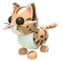 Leopard Cat