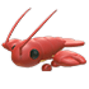 Lobster