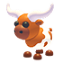 Longhorn Cow