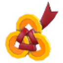 Lucky Coin Flying Disc