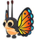 Mirai Moth