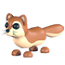 Mongoose