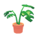 Monstera Plant Pot