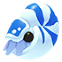 Nautilus