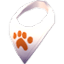 Neckerchief