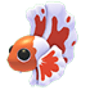 Orange Betta Fish