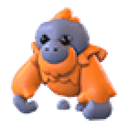 Orangutan