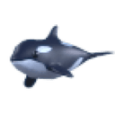 Orca