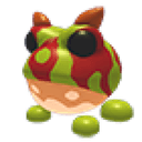 Ornate Horned Frog