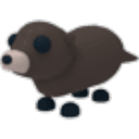 Otter