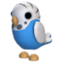 Parakeet