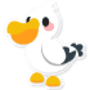 Pelican Sticker