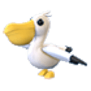 Pelican