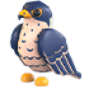 Peregrine Falcon