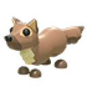 Pine Marten