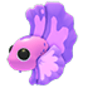 Pink Betta Fish