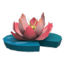 Pink Lotus
