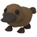 Platypus