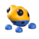 Poison Dart Frog