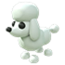 Poodle