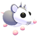 Possum