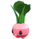 Radish Friend