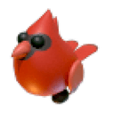 Red Cardinal