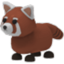 Red Panda