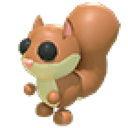 Red Squirrel