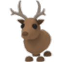 Reindeer