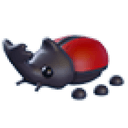 Rhino Beetle