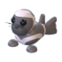 Ribbon Seal