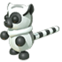 Ring-Tailed Lemur