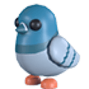 Rock Pigeon