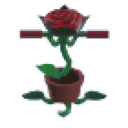 Rose Pogo